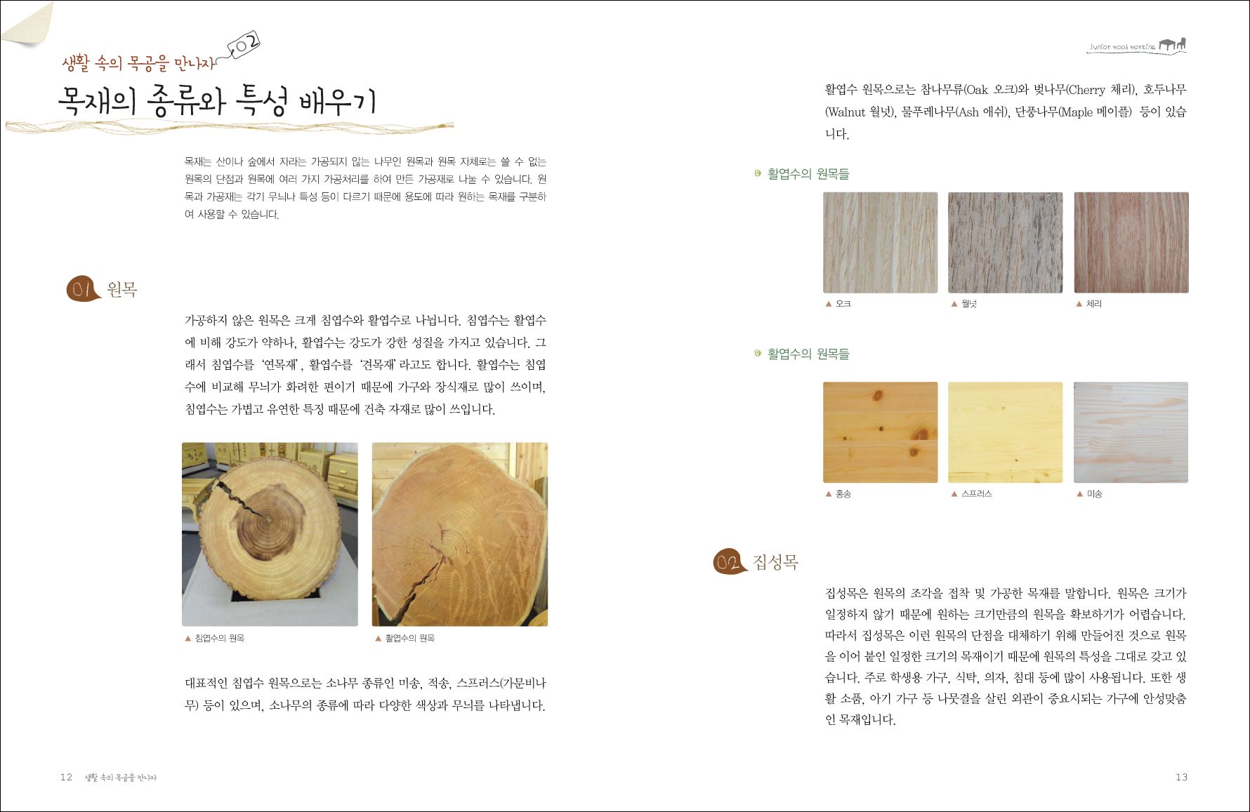 JUNIORBOOK(1).jpg