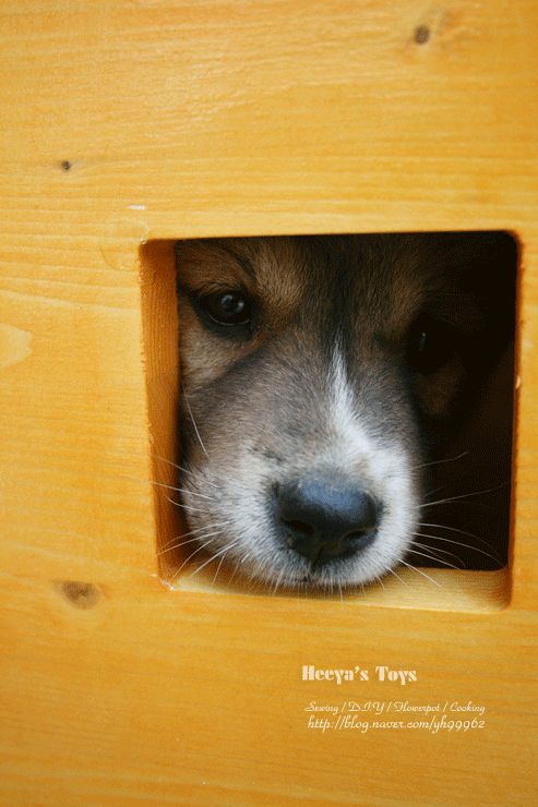 달래야~ 입주를 축하해~