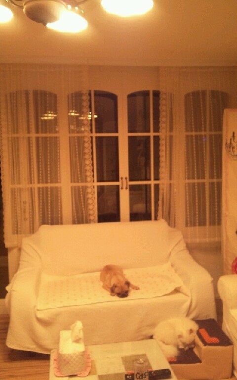 중문시공 거실창 MDF로 무늬만 목문만들었어요