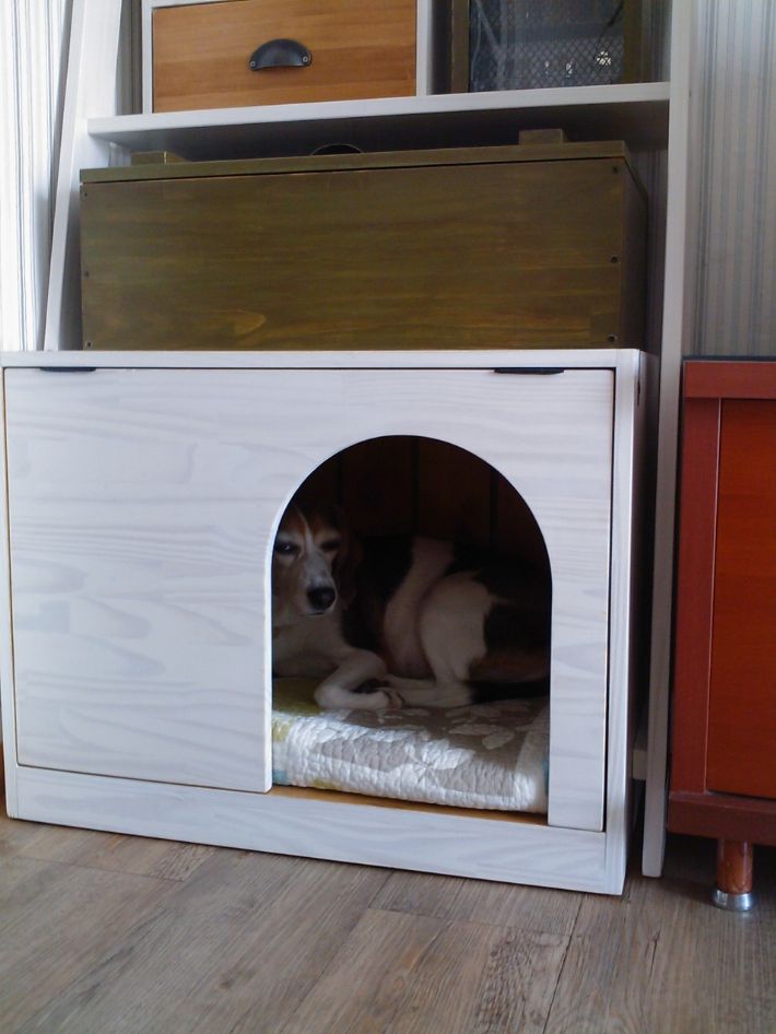 소나무로 만든 애견하우스!!