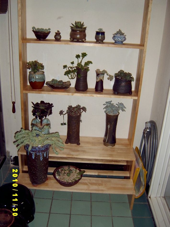 자작나무 집성목으로 만든 다육이 진열대