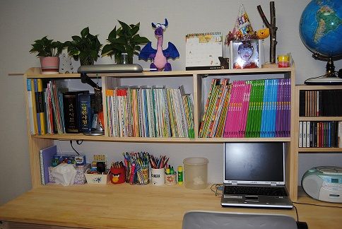 칠레산 소나무로 만든 책장