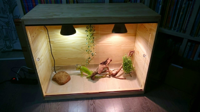 초보의 사육장(이구아나) 만들기