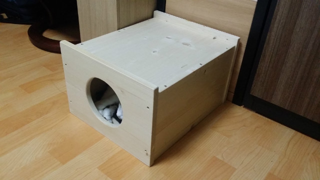 고양이를 위한 박스 놀이집