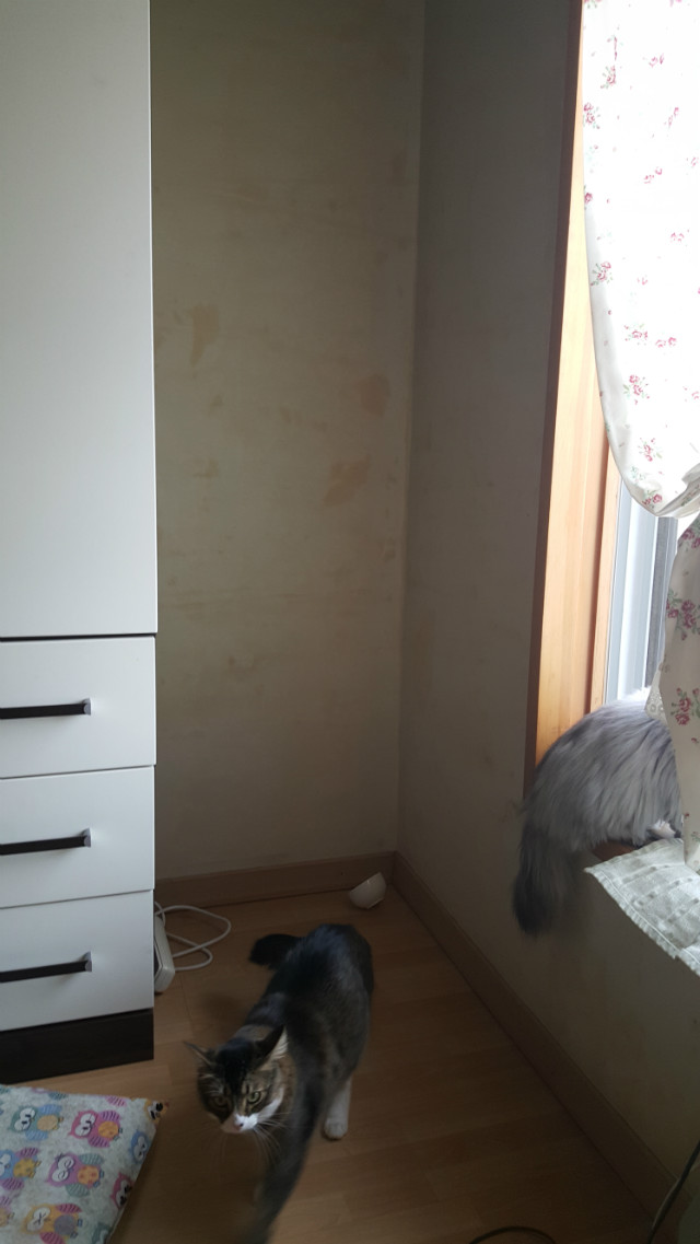 책장을 대신할 장식장(틈새장)