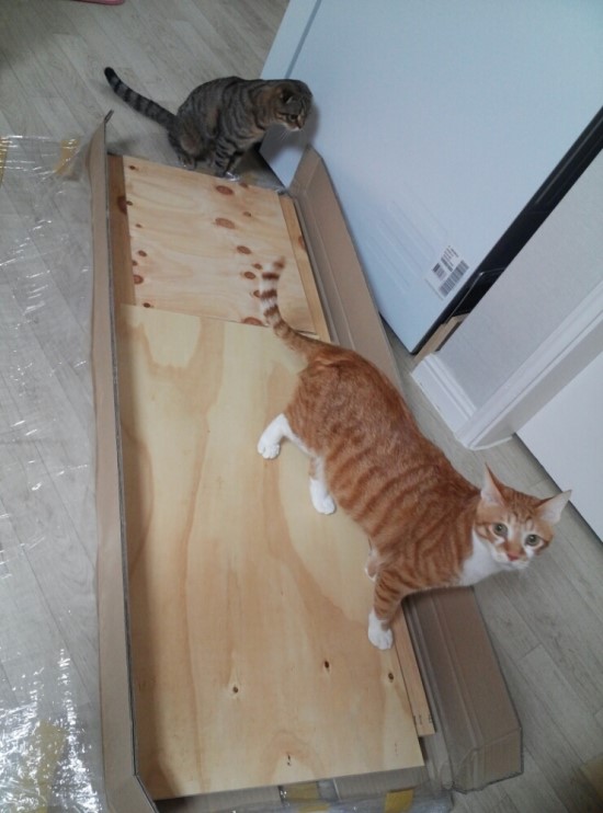 소나무 책상 3개 조립+ 오래된 tv 가림막을 만들었어요^^