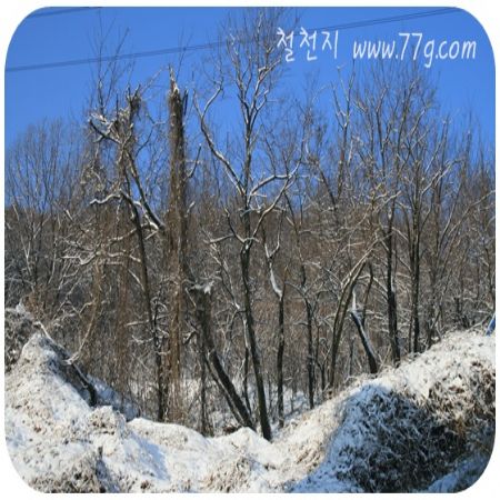 철천지사람들의 얘기를 써야 합니다. 철천지 사장의 글틀을 벗어나라고 했어요~