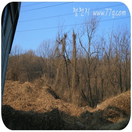 철천지도 예뻐지기로 했습니다. 오늘 사무실을 완전히 뒤집고 도배를 하고 있는 중입니다.