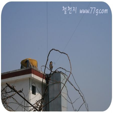 하루가 다르게 성장하는 직원들 덕에 무언가 일조를 해야 겠다는 생각에