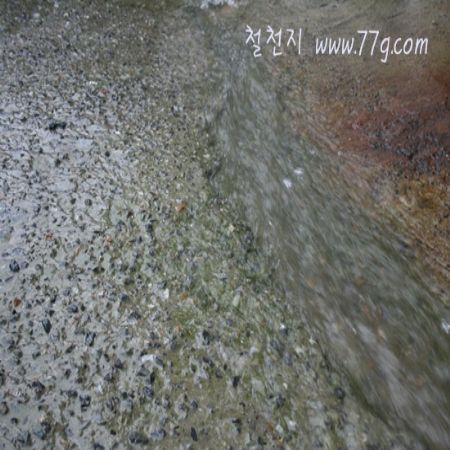 1개월후 1년후 10년후 여기있는 모든사람들과 노력하고 힘을모아서