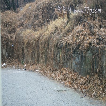 이젠 찍을때가  12월 부터 접수한제품은 불도장을 찍어서 보내 드립니다.