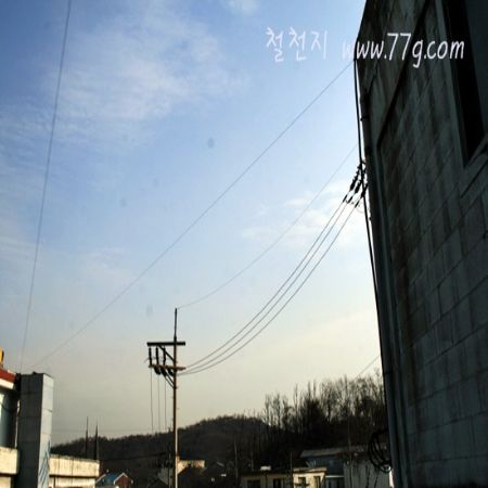 새로 들여올까? 말까? 를 고민하고 있는 멀바우 라는 목재 입니다.