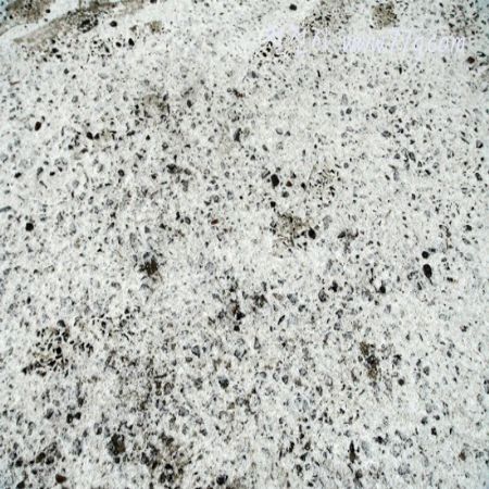 철천지의 경쟁상대는 뒷골목에 줄서서 먹는 만두집이라는것