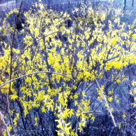 완전 봄의 기운이 물씬 품기는 날입니다...