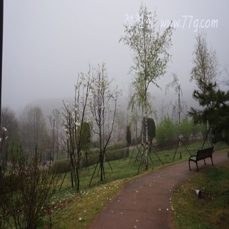 철천지가 얼마나 오랜기간 善한일을 지속할수 있을까? 행복한 고민입니다.