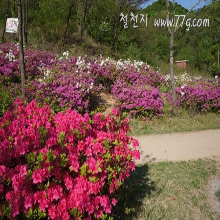 화창한 날씨 잠시 가까이 있는 분들을 돌아볼 시기인것 같습니다.