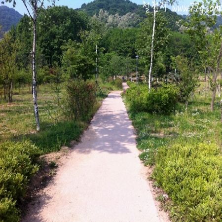 아무쪼록 금일 출고가 된 목재들과 철물로 인해 멋진 작품이 탄생되기를 기원하며...