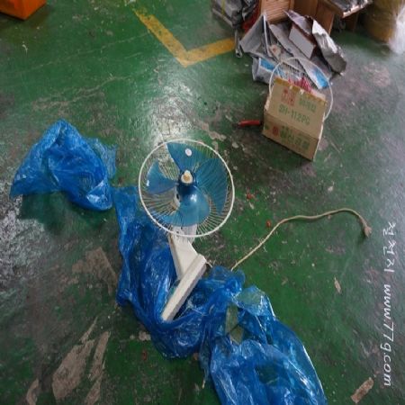 변화를한 나비는 애벌레 때의 작은 돌맹이나 냇물이 더이상 장애가 아닙니다.