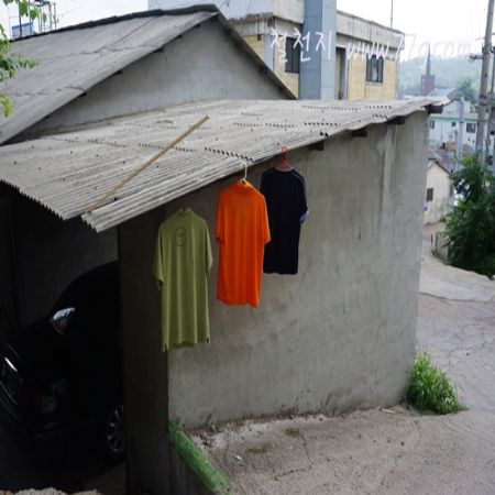 유충이 나비로 변신하기 전에는 번데기가 되어 죽은 척하는 법이다.