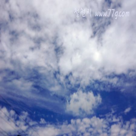 이번주내내 비가 온다고 하더니...하늘은 참 푸르고 햇볕은 쨍쨍하네요...