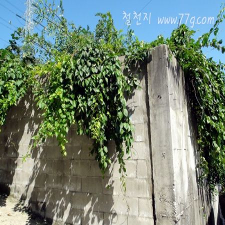 아이들이 쉽고 재미있게 DIY를 접할수 있는 상품이 꾸준히 등록되고 있습니다.