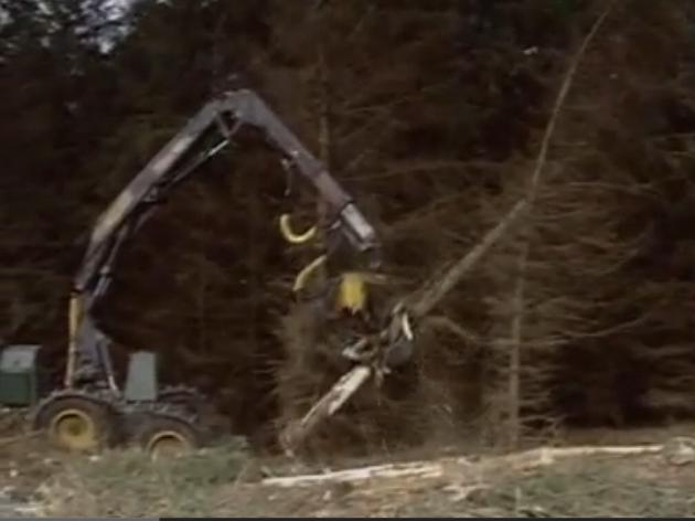 집성목이란? 원목가구에 사용되는 집성목이 어떻게 만들어 질까요?