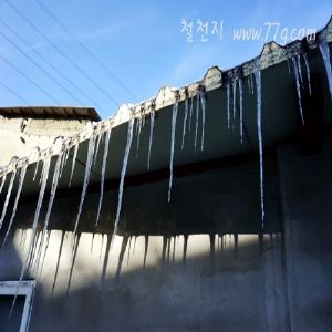 겨울철 안전사고 유의하시고 건강한 겨울 챙기시길 바랍니다^^