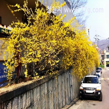 하루에 일과를 어찌할 지 서로 공유를 하고 계획을 세워 하루를 시작합니다.