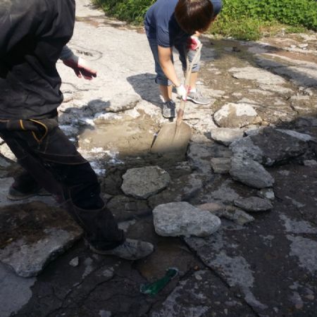 9월6~10일 추석 휴무 합니다.