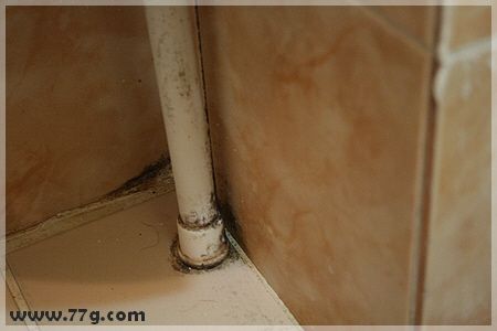 곰팡이여~안녕!! 눈 앞에서 사라지는 곰팡이