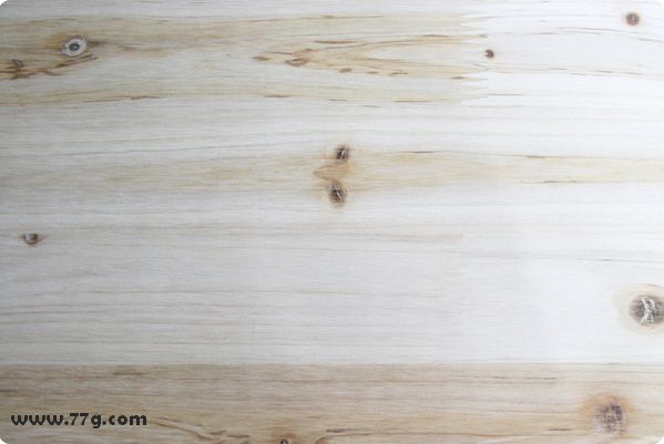 좀벌레 가랏!!  벌레퇴치,향균기능이 최고! 삼나무 알기~