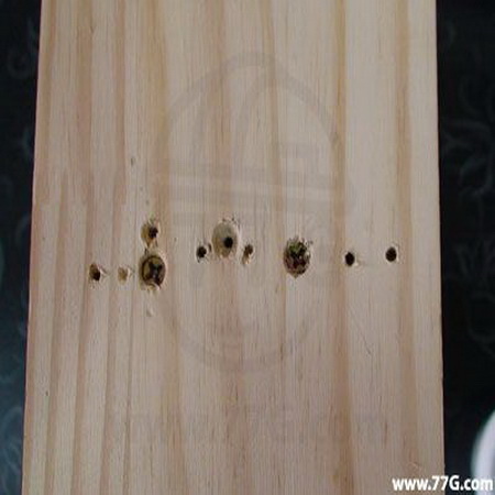 목재전용 메꿈제 사용법 (동영상)