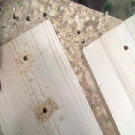 가시너트 와 볼트를 이용한150kg 의 목재 연결방법 (동영상)