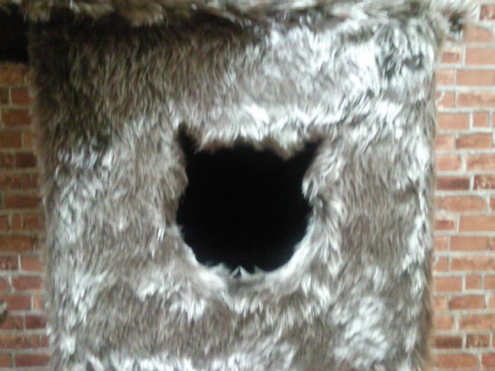 홍송,물푸레나무,인터폰커버,MDF,원목 몰딩 작업 했습니다. 전자레인지서랍개발중