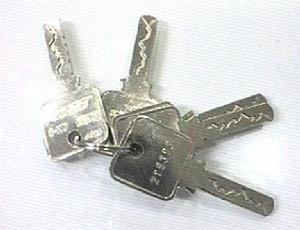 BOSEIII.jpg (12392 bytes)