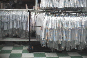 교복2.gif (67246 bytes)