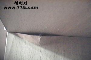 DIY18606.jpg(7917bytes)