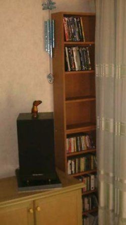 DIY19711.jpg(16433bytes)