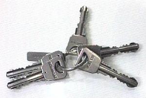 adamant.jpg (11396 bytes)