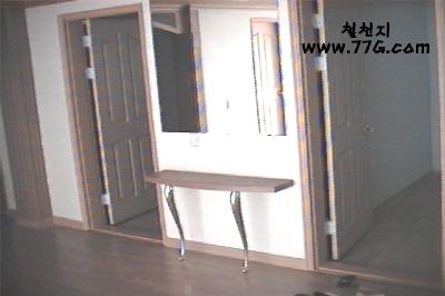 diy19604.jpg(20829bytes)