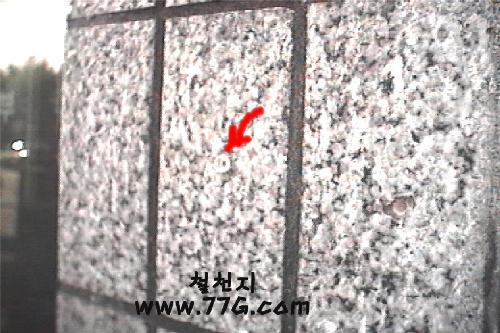 diy19904.jpg(37176bytes)