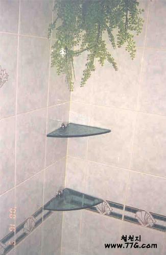 diy19909.jpg(21839bytes)