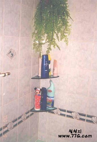 diy19911.jpg(24912bytes)