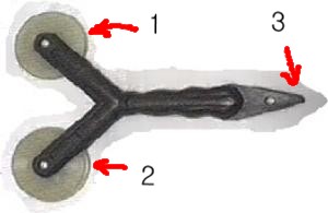 insect.jpg(10941bytes)