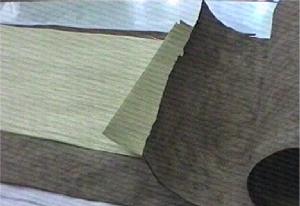 mdfgagu6.jpg(10646bytes)