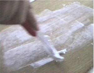 pai1.jpg(12493bytes)