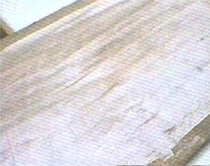 pai2.jpg(12829bytes)