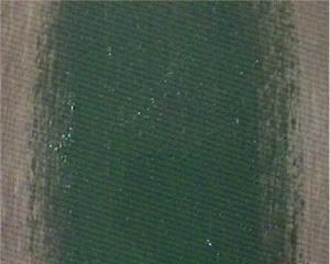 pai7.jpg(10992bytes)