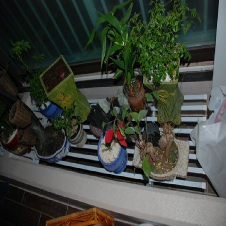 베렌다 화단 덮게 대용으로 만든 선반