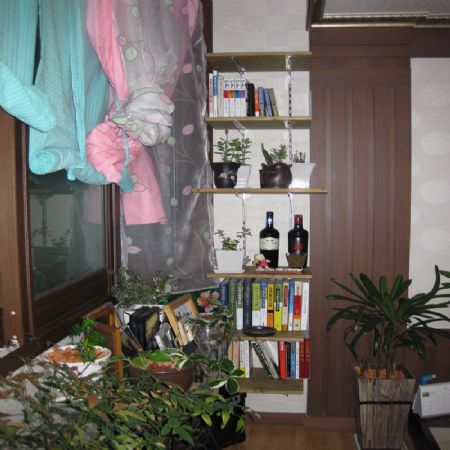 삼나무로 만든 선반 책장 